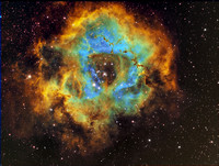 Rosette Nebula Narrowband HST