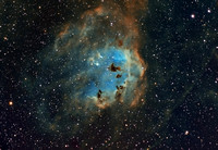 IC 410 MonkeyFace Nebula6