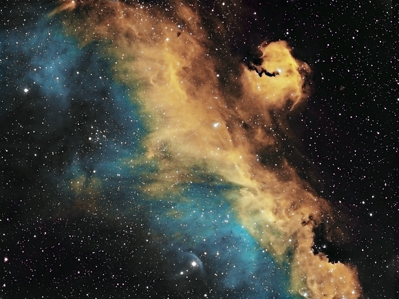 IC 2177 Seagull Nebula Hubble Pallet Narrowband
