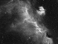 Seagull  IC Nebula
